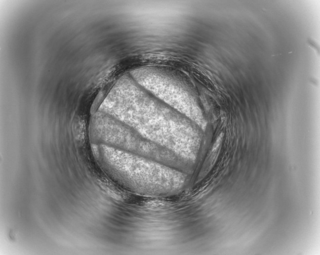 X0000093210708200710241157