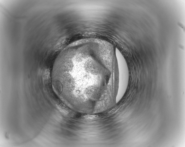 X0000093210711200710241157