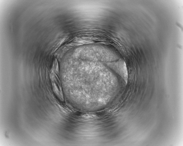X0000093210712200710241157