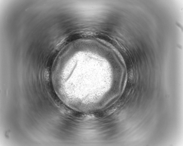 X0000093210715200710241157