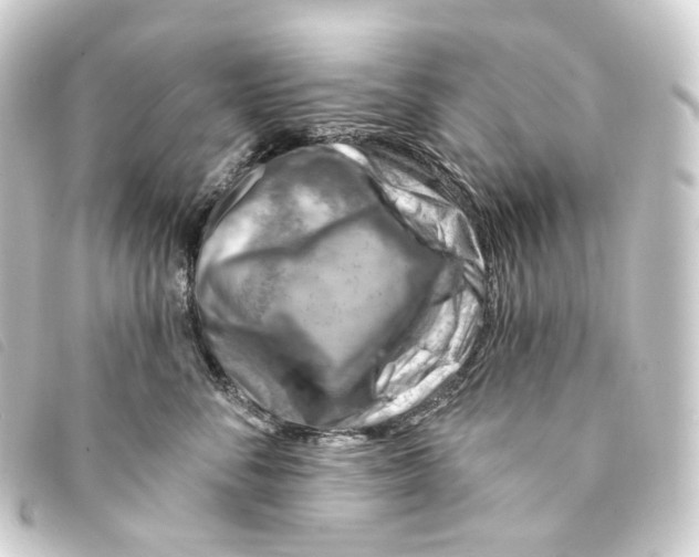 X0000093210716200710241157