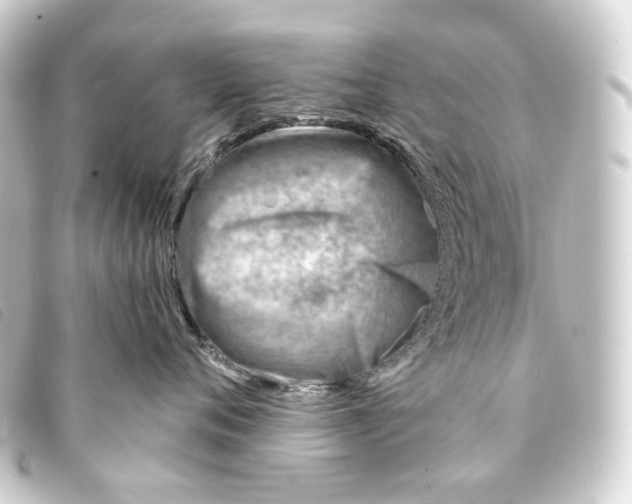 X0000093210720200710241157