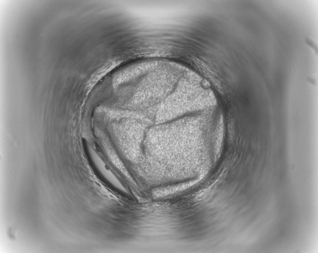 X0000093210721200710241156