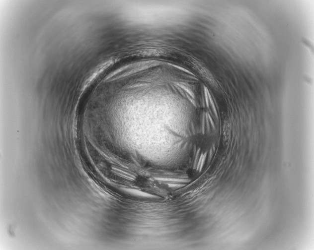 X0000093210722200710241156