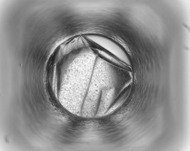 X0000093210724200710241156