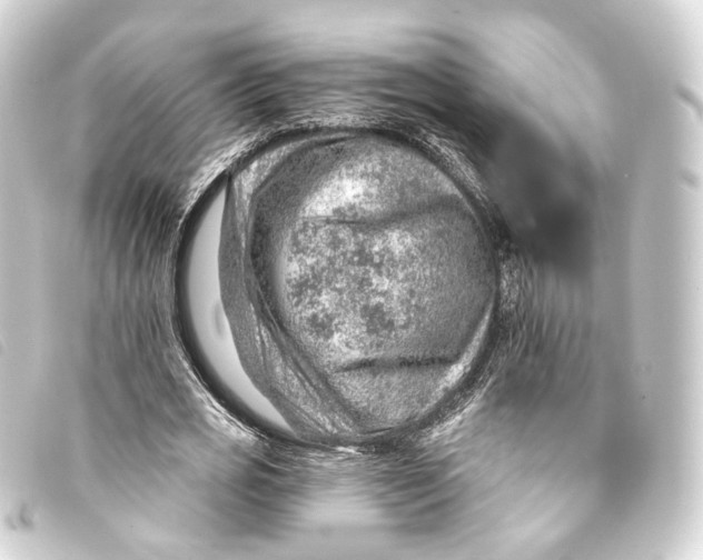 X0000093210725200710241156