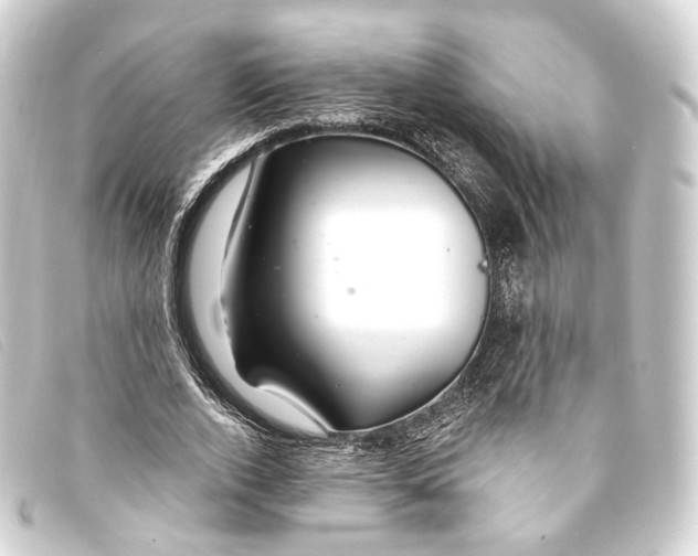 X0000093210728200710241156
