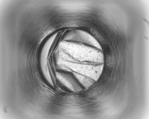 X0000093210731200710241156