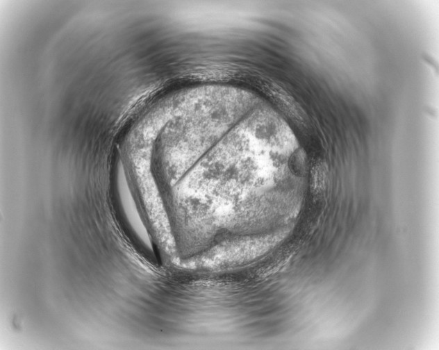 X0000093210733200710241156