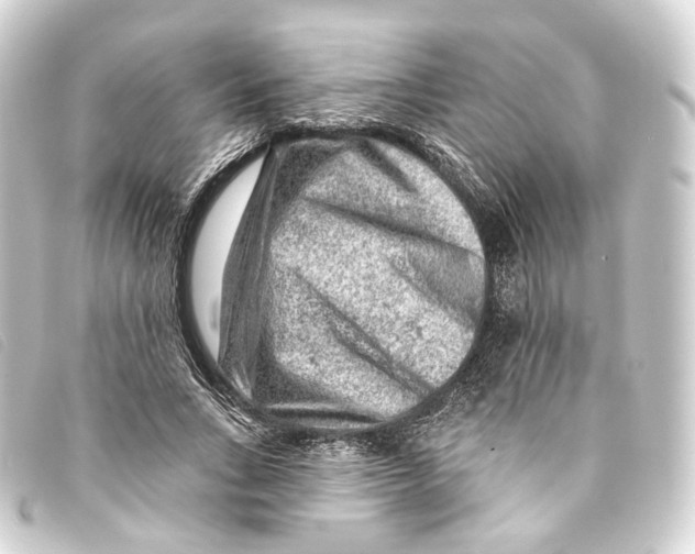X0000093210735200710241156
