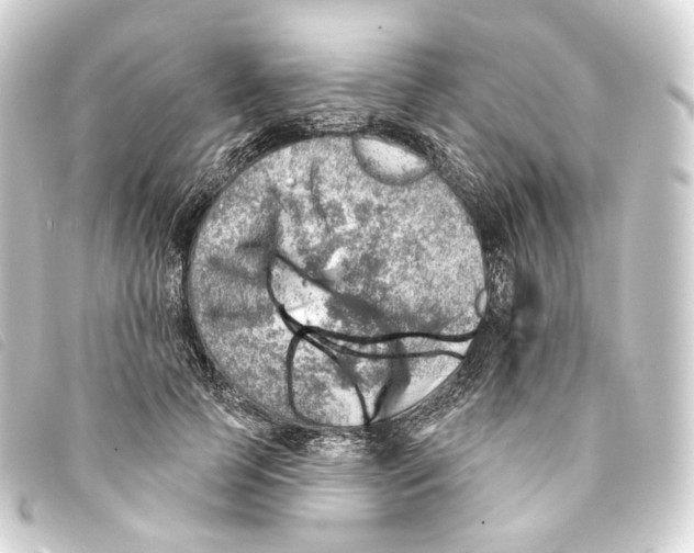 X0000093210745200710241157