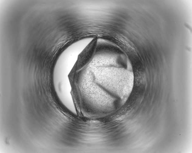 X0000093210748200710241157