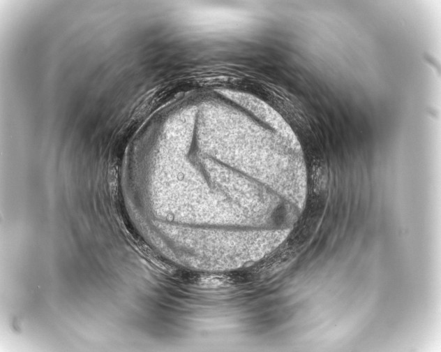 X0000093210753200710241157
