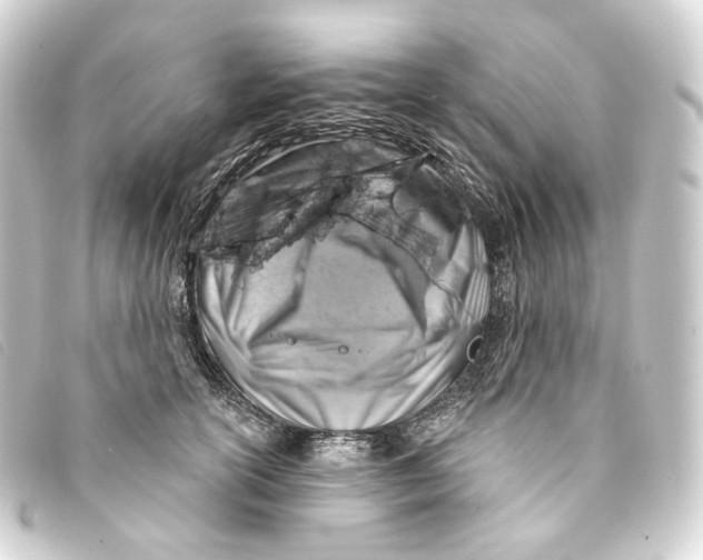 X0000093210754200710241157