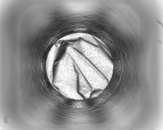 X0000093210755200710241157