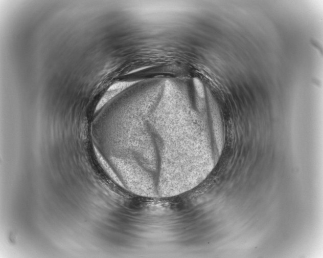 X0000093210760200710241157