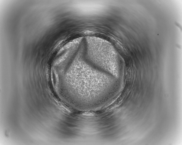 X0000093210762200710241157