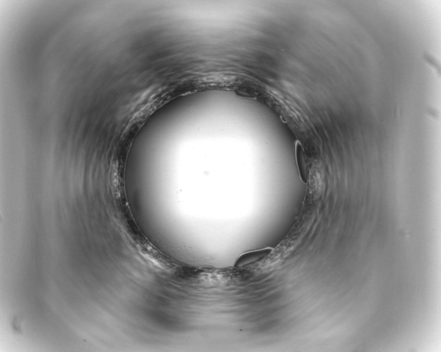 X0000093210764200710241157