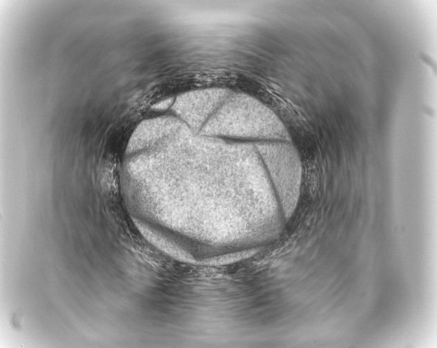 X0000093210770200710241156