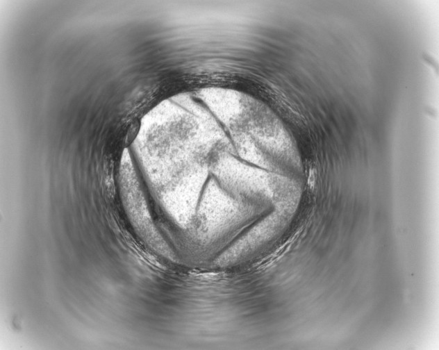 X0000093210771200710241156