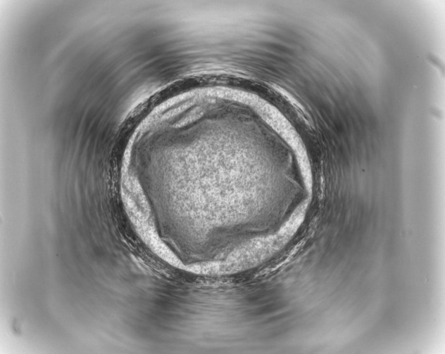 X0000093210775200710241156