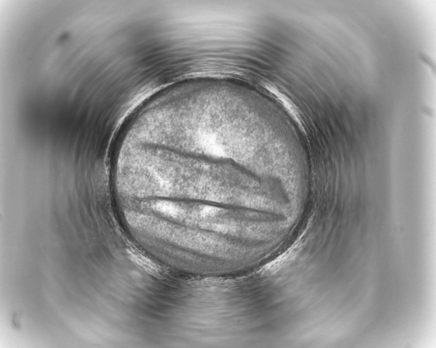 X0000093210779200710241156
