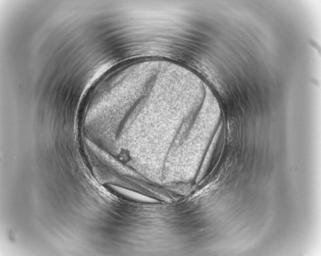 X0000093210780200710241156