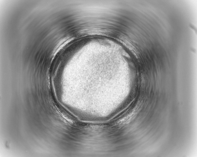 X0000093210782200710241156
