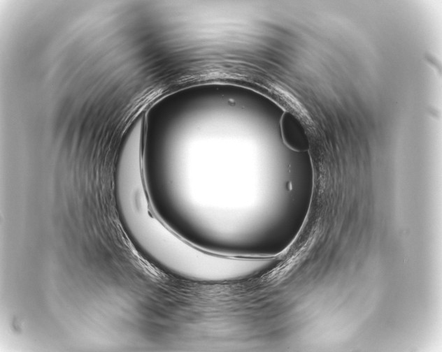 X0000093210793200710241156