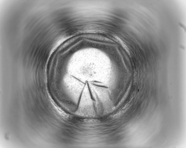 X0000093210795200710241156