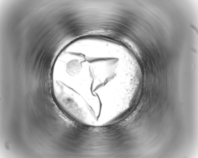 X0000093210808200710241156