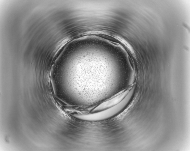 X0000093210809200710241156