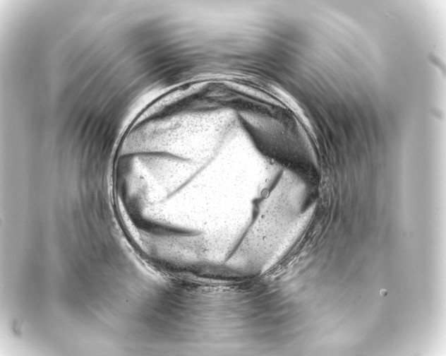 X0000093210811200710241156