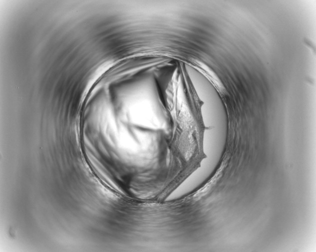 X0000093210812200710241156
