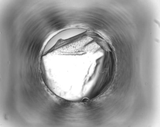 X0000093210816200710241156