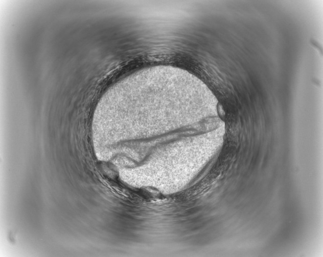X0000093210817200710241155