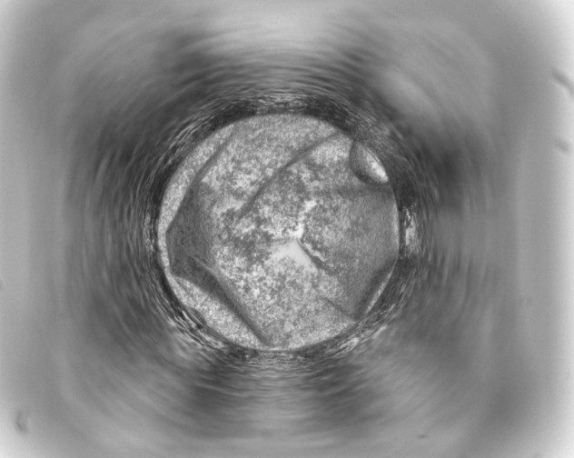 X0000093210819200710241155