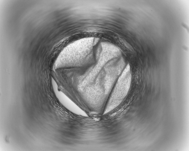 X0000093210821200710241155