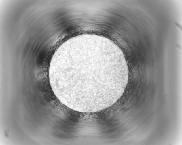 X0000093210824200710241155