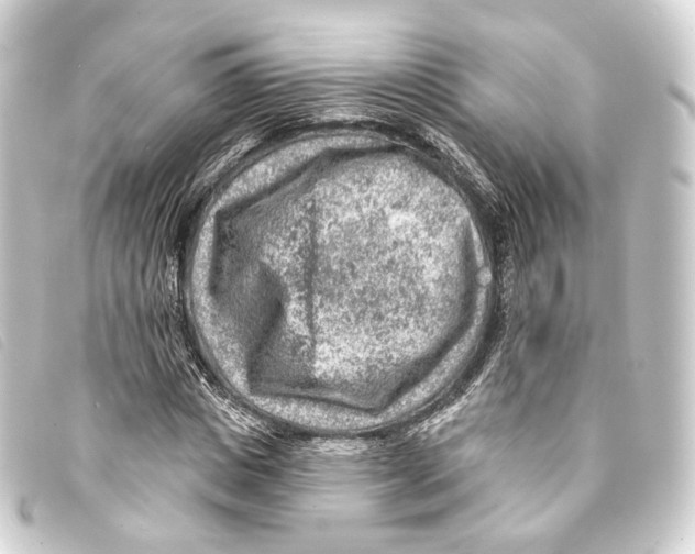 X0000093210825200710241155