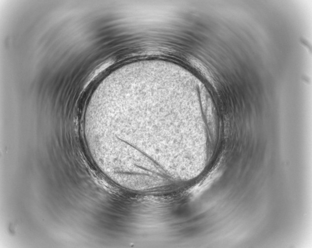 X0000093210827200710241155
