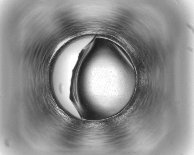 X0000093210830200710241155
