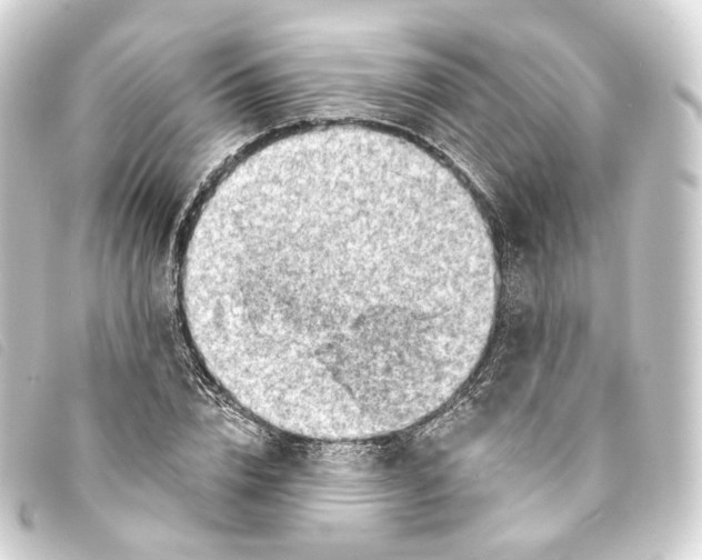X0000093210832200710241155