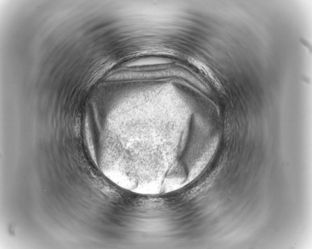 X0000093210833200710241155