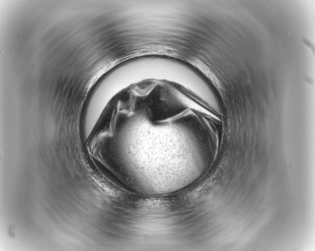 X0000093210834200710241155