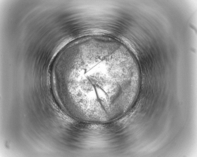 X0000093210835200710241155