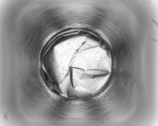 X0000093210837200710241155