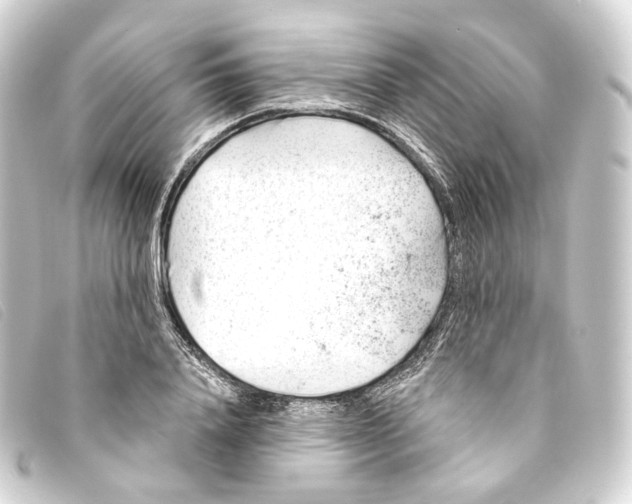 X0000093210840200710241155