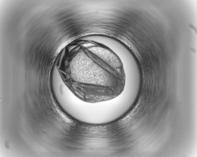 X0000093210842200710241155