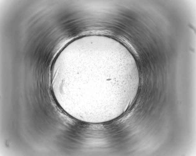 X0000093210844200710241155